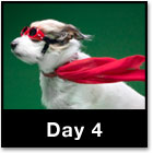 100 Day Challenge: Success Loves Speed