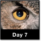 100 Day Challenge: Results are Everything