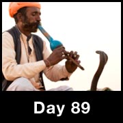 100 Day Challenge: Intelligent Risk Taking