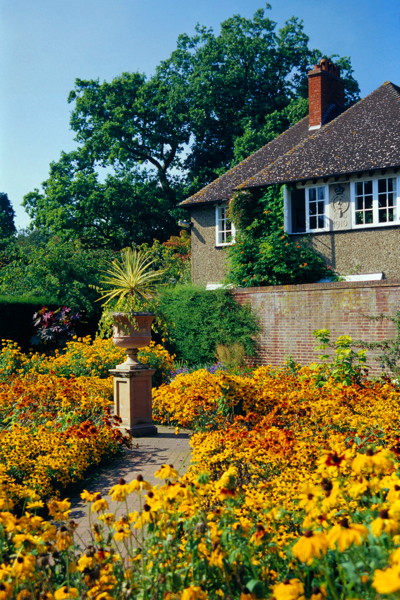 Sunflower path to the cottage