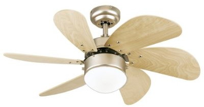 Ceiling Fan