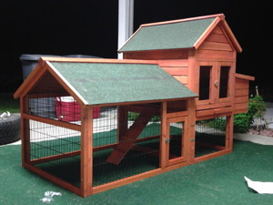 Chicken Coop