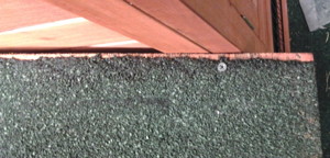 Chicken Coop Roof Edge