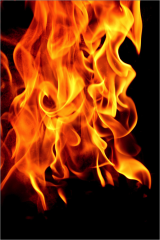 Fire Fire