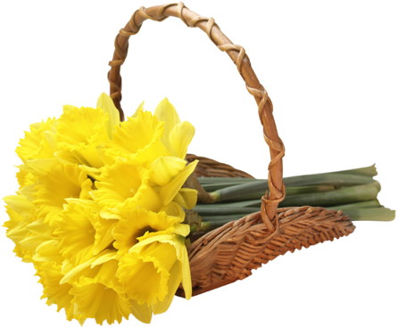 Spring Fever Yard Cleanup